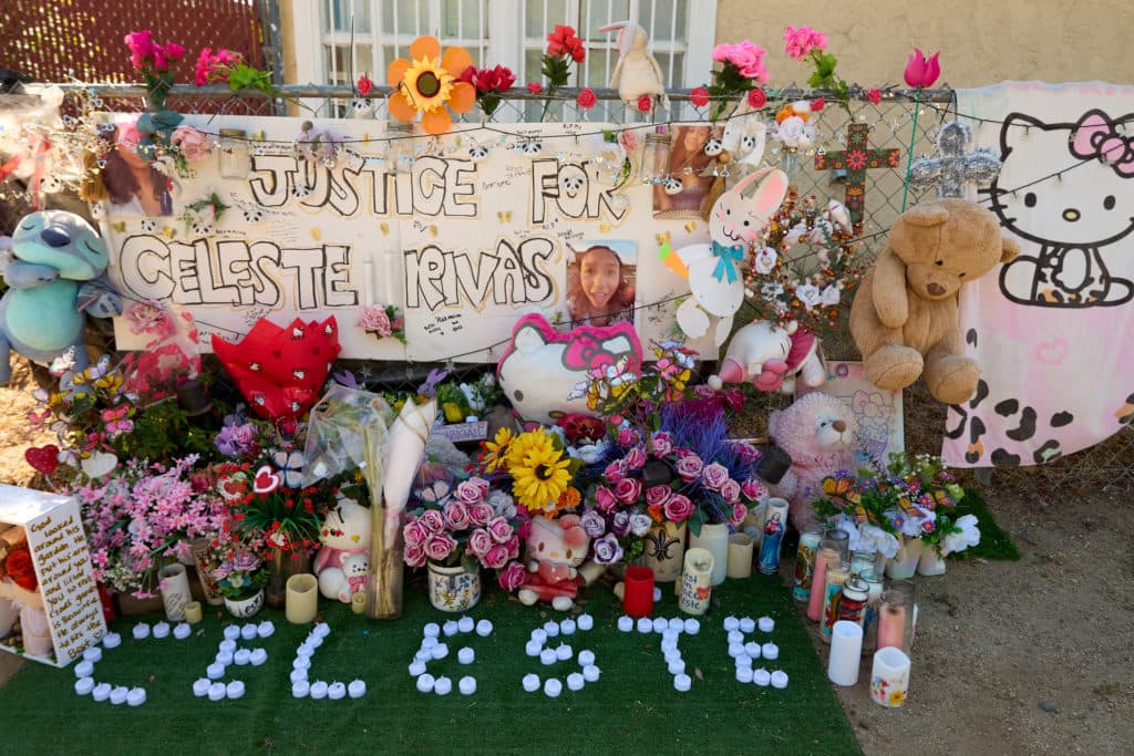 Final texts shown at hearing in Celeste killing