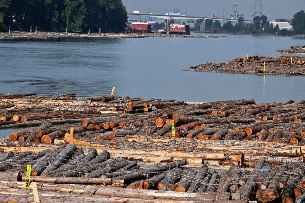 U.S. Pauses 50% Tariffs on Canadian Imports
