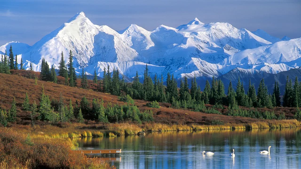 Three Latvian Climbers Killed and One Critically Injured After Fall Near Denali Pass on Mount McKinley; Survivor Airlifted