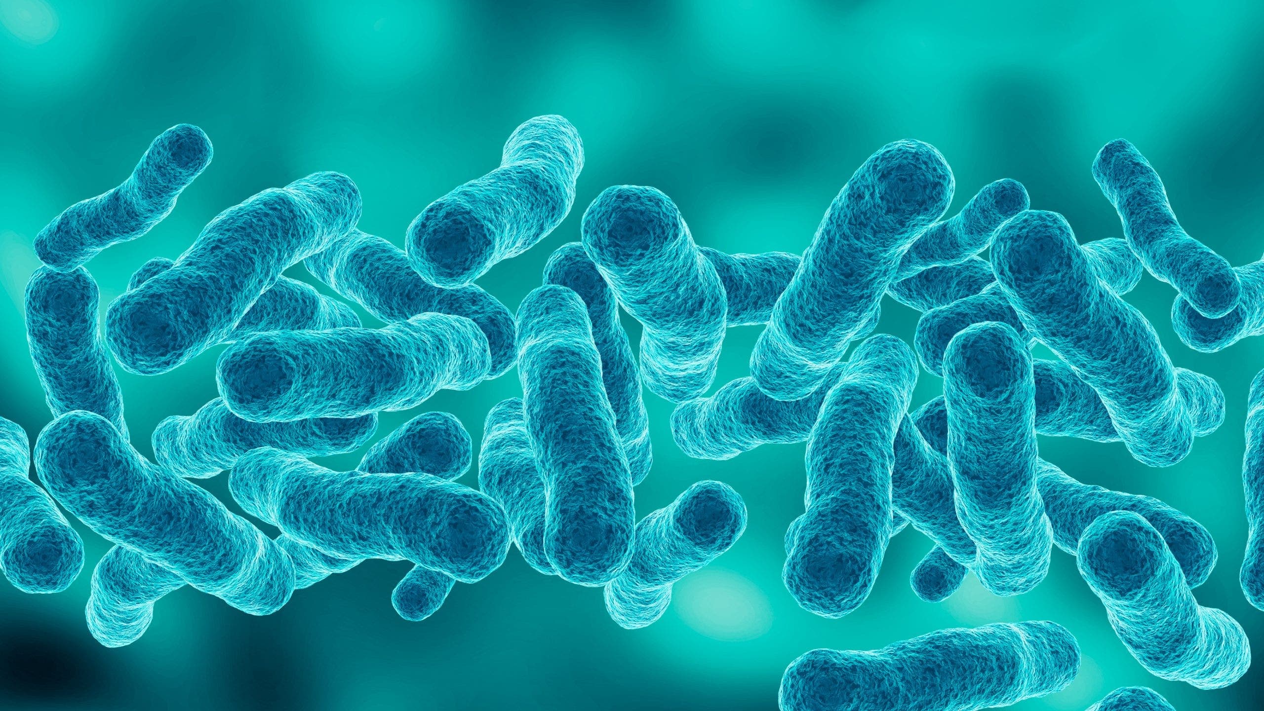Upper East Side Legionnaires Outbreak: One Dead, 67 Cases