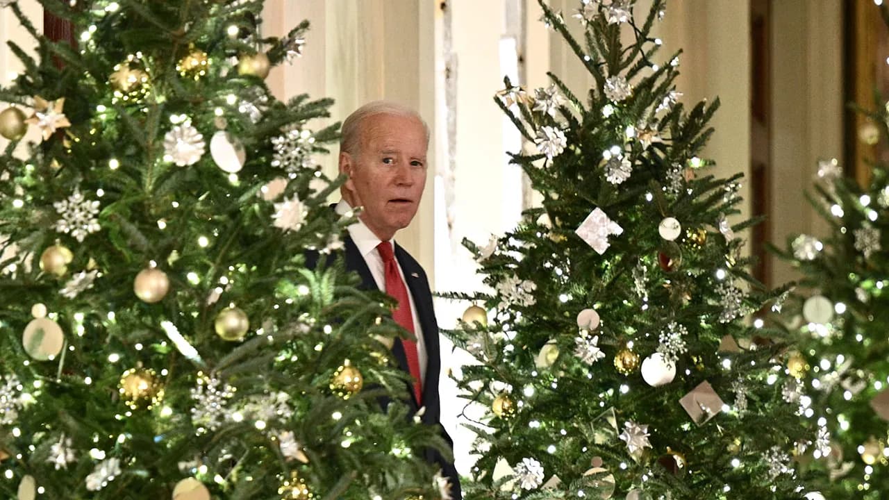 Joe Biden blows up social media over 'humiliating' family Christmas photo he's barely visible in