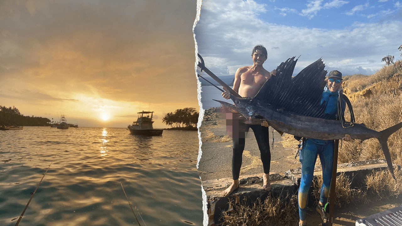 Fisherman survives near-fatal shark attack with own lifesaving care, instincts that kept him alive