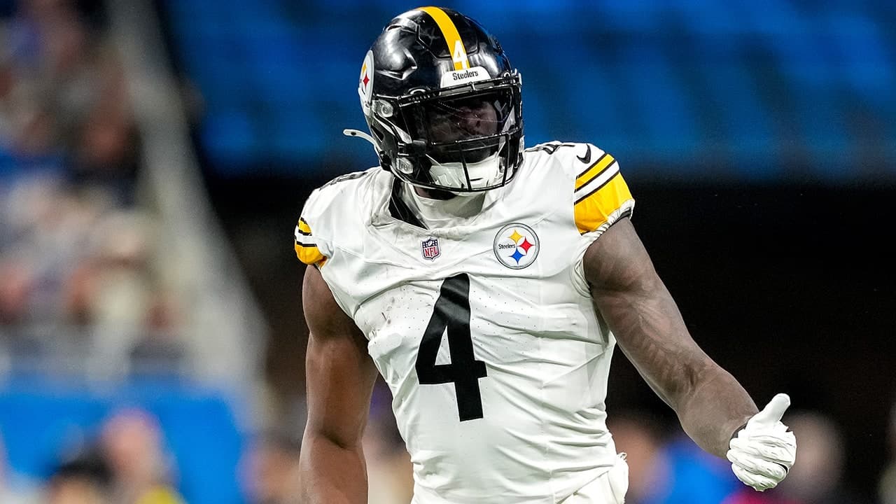 Lions fan involved in altercation with Steelers star denies using derogatory language toward player