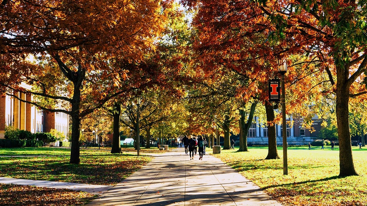 University of Illinois lesson materials push leftist race, class struggles on future teachers: leaked lectures