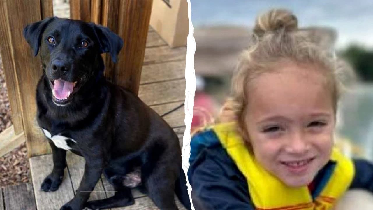 Preliminary autopsy reveals possible cause of death for missing 4-year-old Alabama boy Johnathan Boley