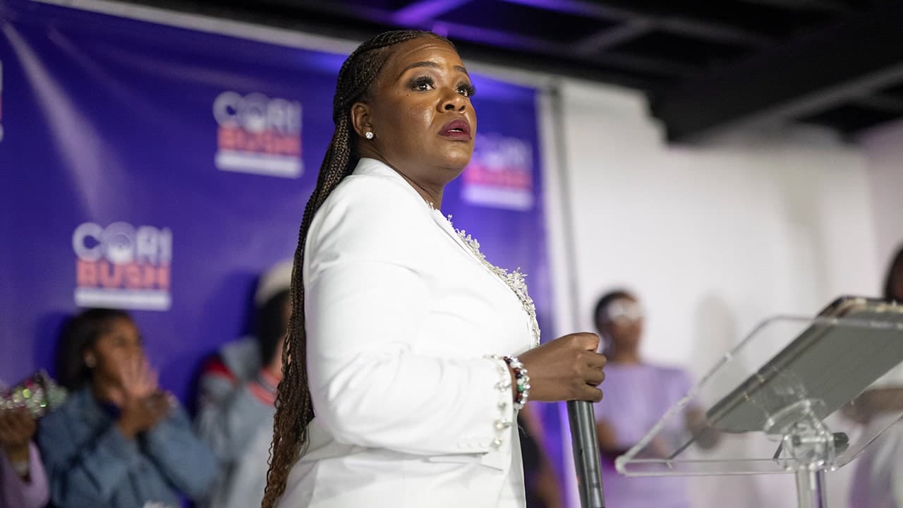 Progressive and DSA-Backed Candidates Win Primaries