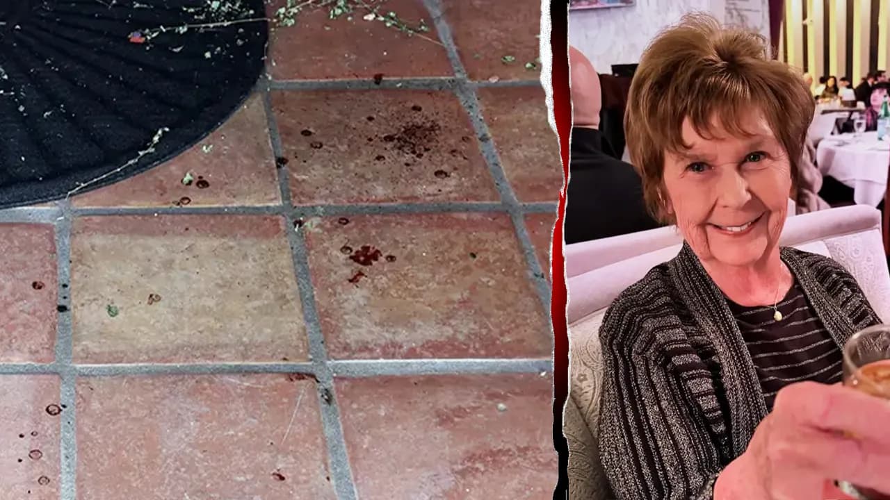 DNA splatter suggests Nancy Guthrie was bleeding from ‘either the hands or face,' expert says