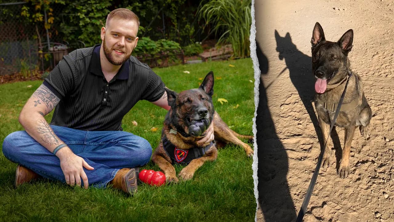 Retired U.S. Army Sergeant Recounts Serving with Dutch Shepherd Dasty in Afghanistan and the Canine’s Role in Saving Lives