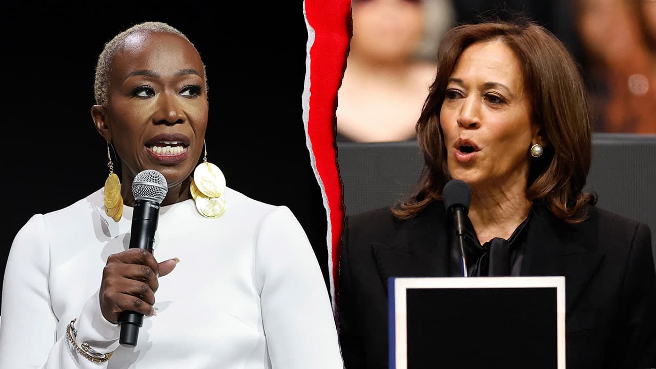 Former MSNBC Host Joy Reid Says Kamala Harris Should Not Run in 2028, Calls Biden's Israel-Gaza Policy a 'Stain'