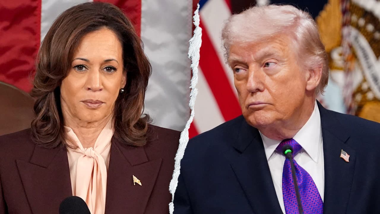 Kamala Harris Uses Impersonation to Criticize President Trump's Foreign Policy at National Action Network Forum, Prompting Social Media Backlash
