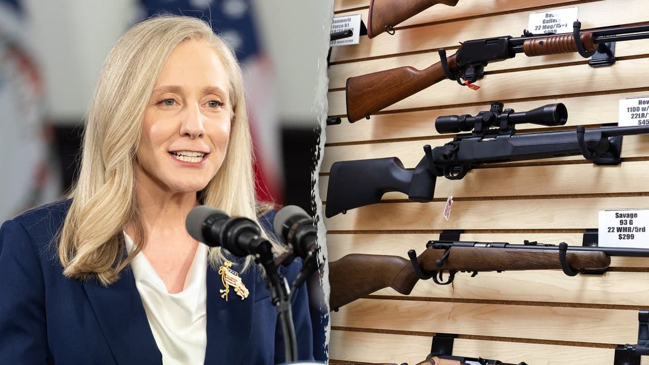 Virginia assault-weapons ban and background-check dispute
