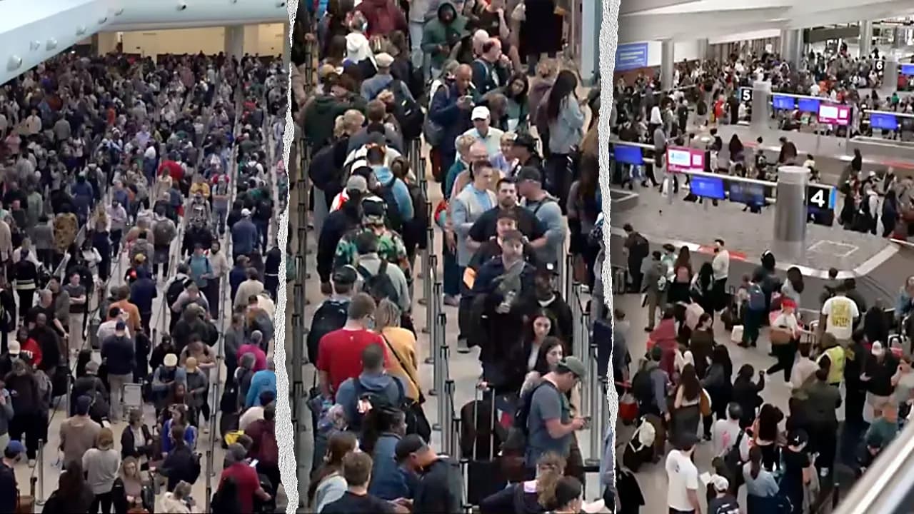 Liz Peek: Airport delays and TSA staffing shortfalls as Congress deadlocks over DHS funding