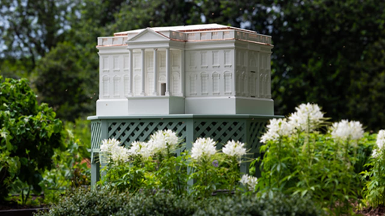 First Lady Melania Trump installs White House-shaped beehive on South Lawn, adding two bee colonies to White House honey program