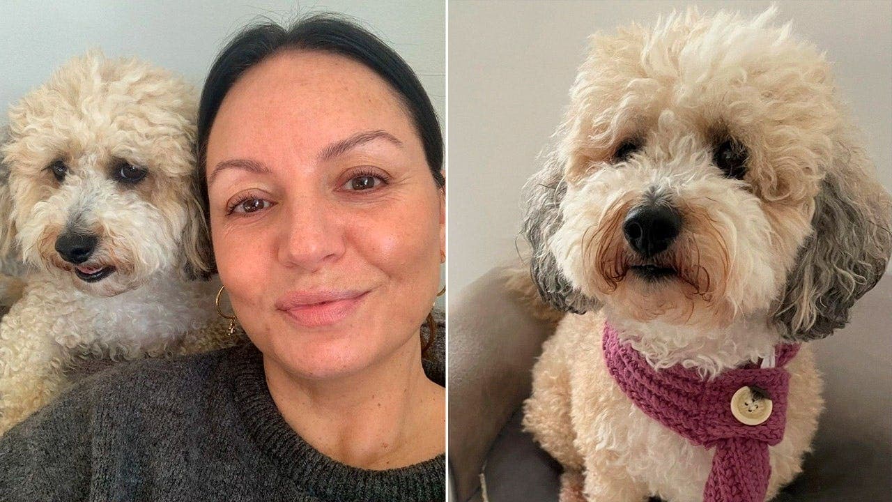 England woman Vickie Doogan and her dog Dolly both diagnosed with breast cancer; both treated and now reported cancer‑free