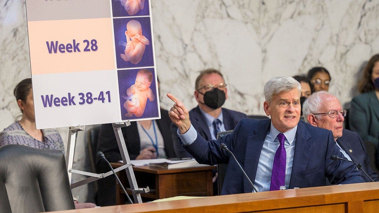 Republican lawmakers file Supreme Court brief backing Louisiana suit to restore in-person dispensing requirement for mifepristone, citing alleged coercion and safety concerns