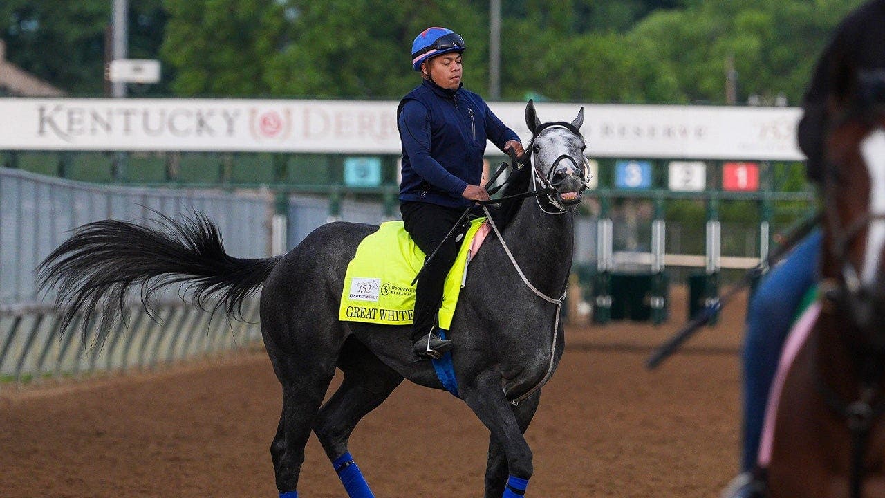 Great White Spooks During Starting Gate Loading at Kentucky Derby; Jockey Alex Achard Thrown and Horse Scratched; Golden Tempo Wins