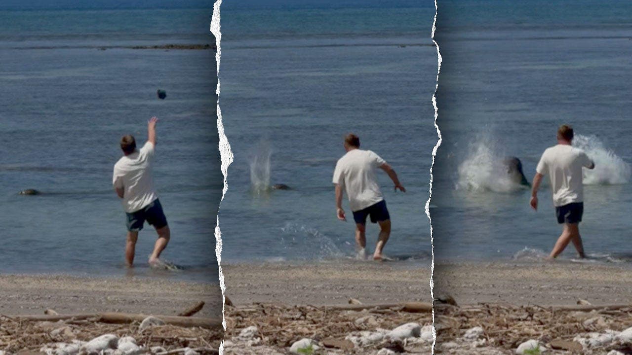Igor Mykhaylovych Lytvynchuk charged federally after allegedly throwing rock at endangered Hawaiian monk seal in Maui on May 5, 2026