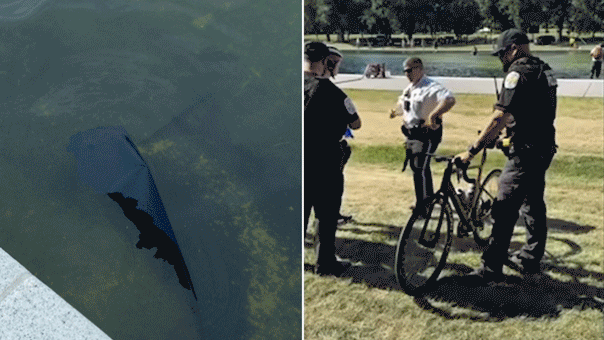 Arrests After Vandalism at Lincoln Reflecting Pool