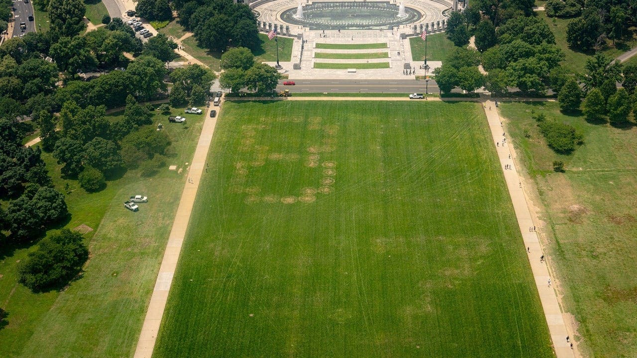 8647 Etched on National Mall; Investigation Underway