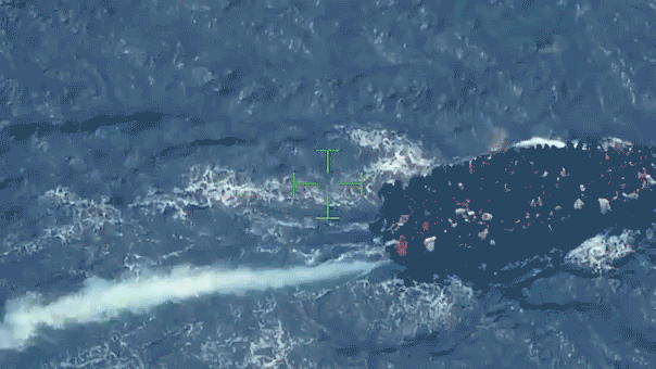 Coast Guard Intercepts Overcrowded Boat Near Turks and Caicos