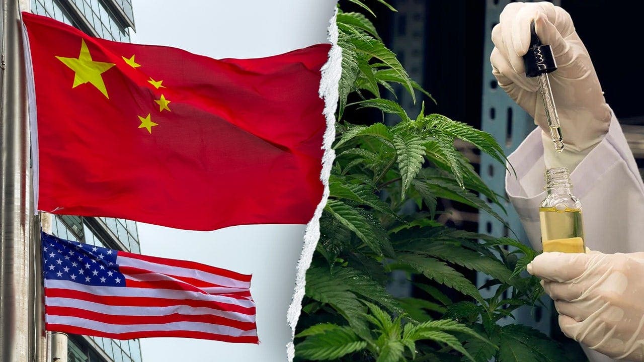 Former DHS Official Urges Probe of Chinese Links to Hemp