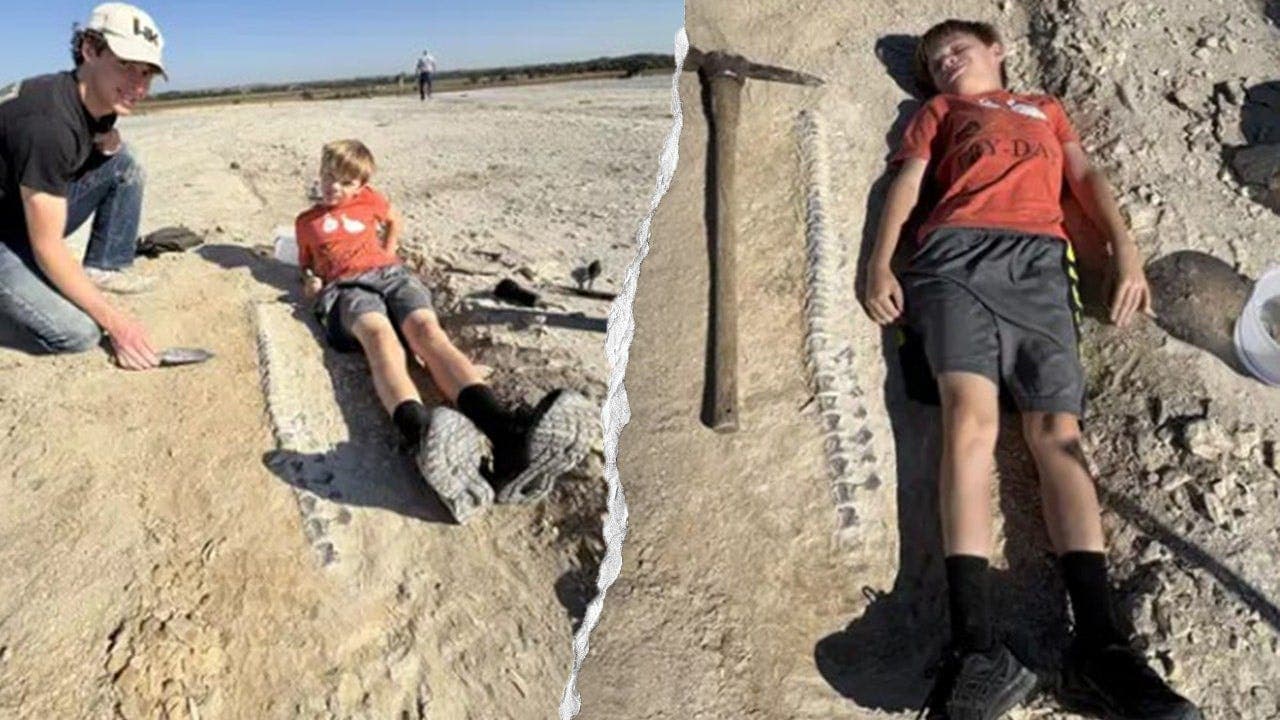 Kansas Boy Finds 15‑Foot Tylosaurus Fossil