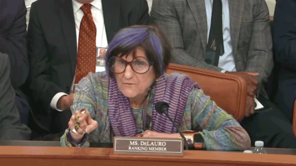 DHS Secretary and DeLauro Clash at House Hearing