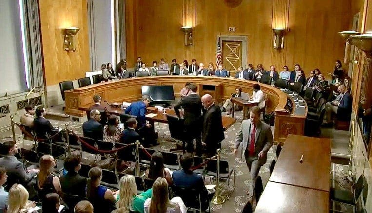 Democrats Largely Absent at Senate Fraud Hearing
