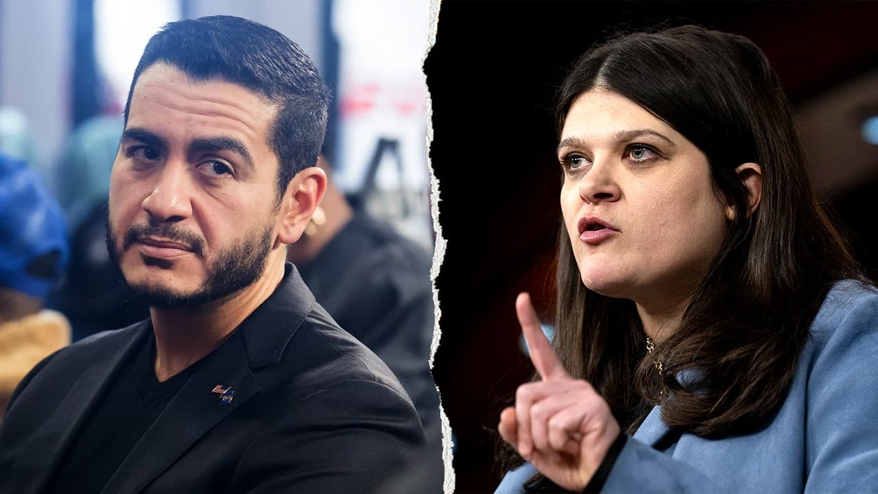 Michigan Democratic Senate Primary: Stevens vs. El‑Sayed