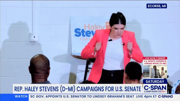 Haley Stevens' Campaign Video Sparks Online Mockery