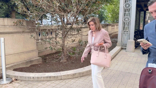 Pelosi Declines Comment on Husband's Hit-and-Run