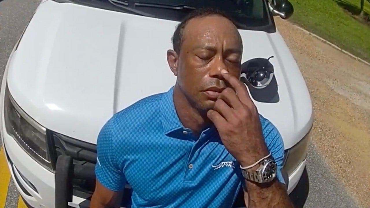 Nick Faldo Calls for Greater Accountability from Tiger Woods and the PGA Tour After Woods’ Florida DUI Arrest