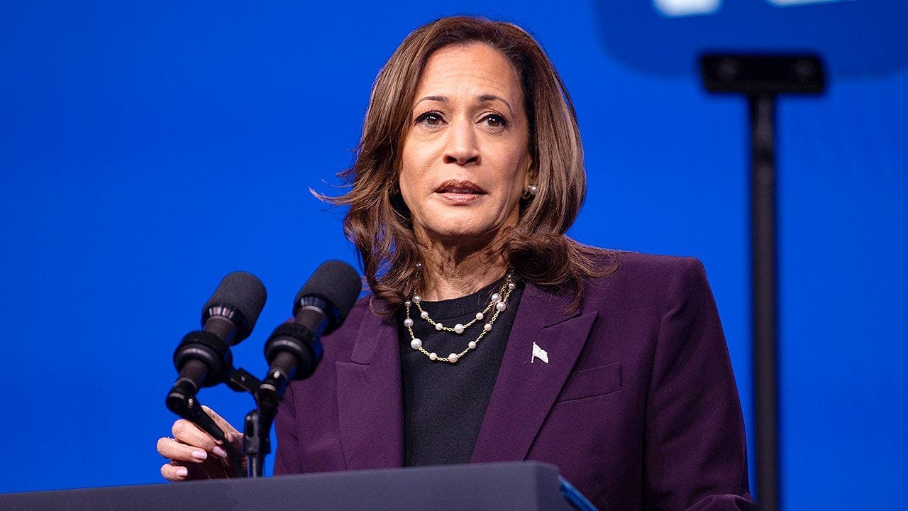 Former Democratic donor John Morgan criticizes DNC autopsy, cites DEI, transgender policy, border concerns and Kamala Harris as reasons for 2024 loss