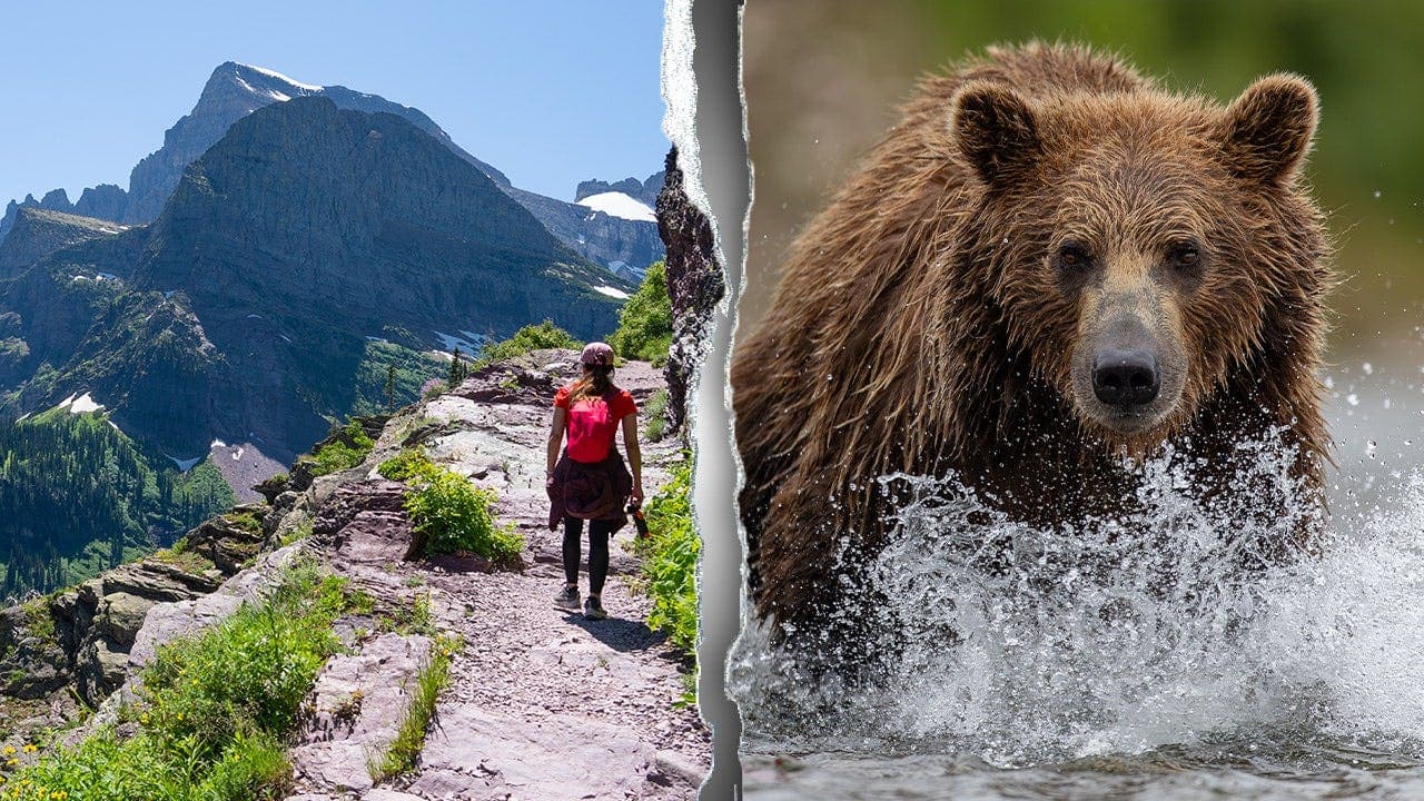Missing hiker found dead off Mt. Brown Trail in Glacier National Park; park says injuries consistent with a bear encounter