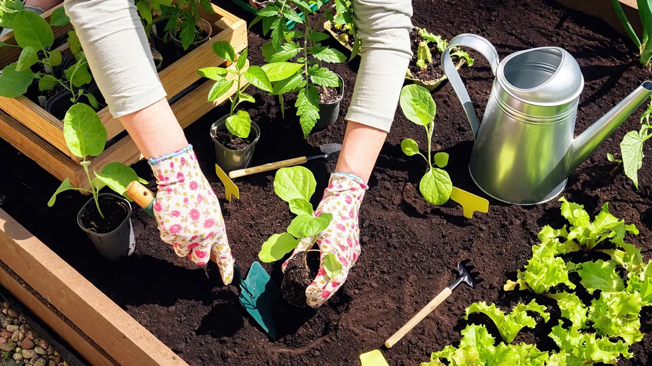 Wayfair Outdoor Event runs through May 8 with discounts up to 77% on gardening tools, planters and outdoor storage