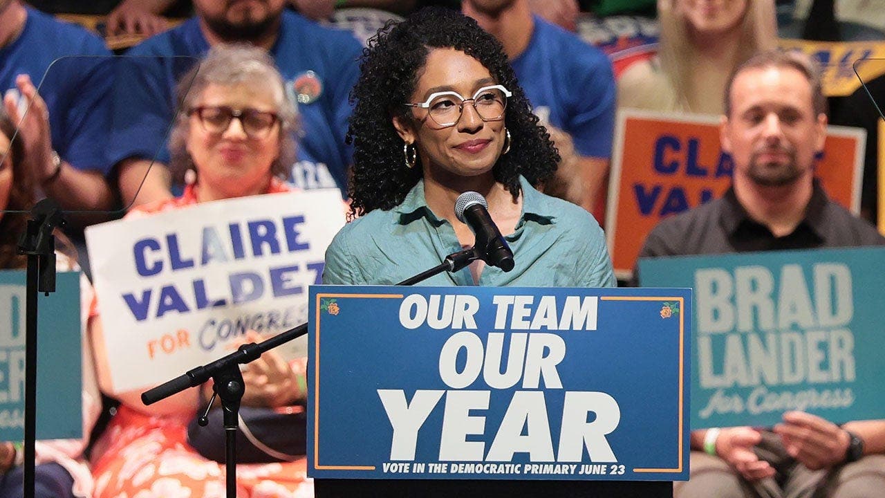 Democratic Strategist Calls Democratic Socialists 'Parasites'